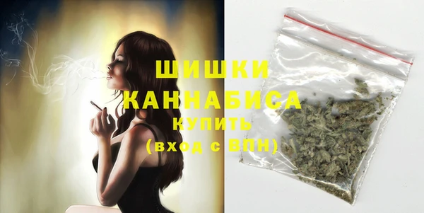 метадон Няндома