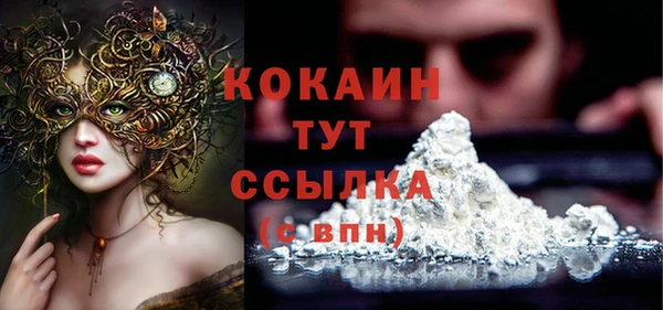метадон Няндома