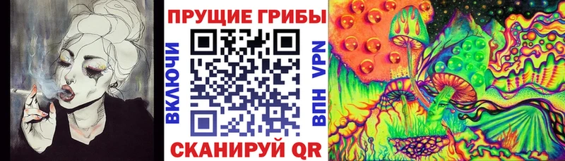 Галлюциногенные грибы GOLDEN TEACHER Княгинино