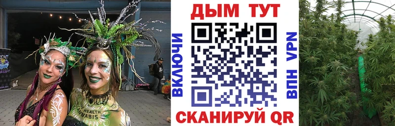 Бошки Шишки Bruce Banner Княгинино